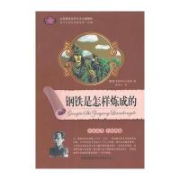 钢铁是怎样炼成的