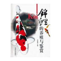锦鲤的养殖与鉴赏