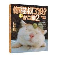 你猫叔了没？ 2