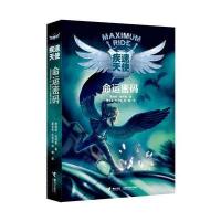 疾速天使系列(第二部)：命运密码