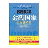 “金砖国家”：世界的希望