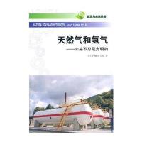 天然气和氢气——未来不总是光明的