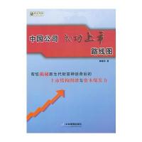 中国公司成功上市路线图 9787802558854
