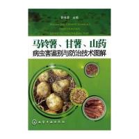 马铃薯、甘薯、山药病虫害鉴别与防治技术图解