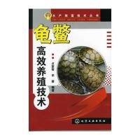 水产致富技术丛书--龟鳖高效养殖技术