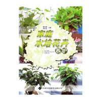 家庭水培花卉养护