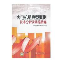 火电机组典型案例技术分析及防范措施