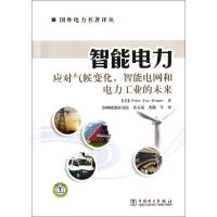 智能电力(应对气候变化智能电网和电力工业的未来)
