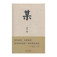 《某》：姜文编剧述平王者归来 9787535452375