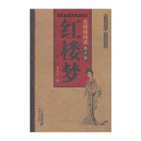 红楼梦 -- 中国古典文学名著 无障碍阅读青少版 9787539179377