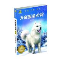 倔小孩动物小说之天使派来的狗(修订本)