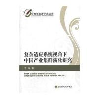 复杂适应系统视角下中国产业集群演化研究 9787514110043
