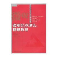 微观经济理论：精略教程(经济科学译库)