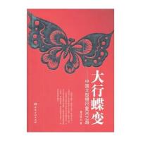 大行蝶变——中国大型商业银行复兴之路