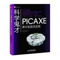 科学鬼才——PICAXE单片机技术应用