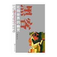 新媒介与青年亚文化丛书--黑客：比特世界的幽灵
