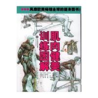 肌肉健美训练图解 9787533138301