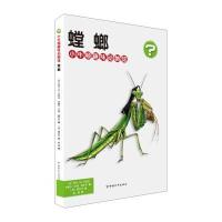 小牛顿趣味动物馆 螳螂 9787513708777