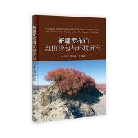 新疆罗布泊红柳沙包与环境研究