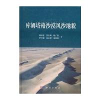 库姆塔格沙漠风沙地貌