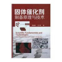 固体催化剂制备原理与技术 9787122147165