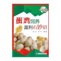 蛋鸡饲养赢利有妙招