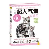中国超人气猫大排名