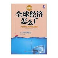 全球经济怎么了：从欧洲危机到美国局 9787111406129