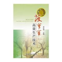 菠萝蜜高效生产技术