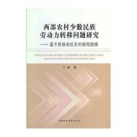 西部农村少数民族劳动力转移问题研究