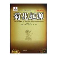 菊花起源(汉英双语)