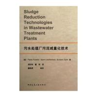 污水处理厂污泥减量技术