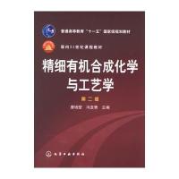 精细有机合成化学与工艺学(第二版)