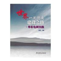 世界调度建设之路 华东电网实践 9787512339330