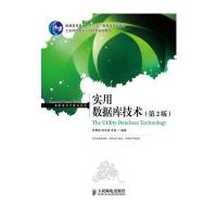 实用数据库技术(第2版)(普通高等教育“十一五”规划教材)有实用价值的数据库教材