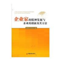 企业家的精神发展与企业的创新及其方法