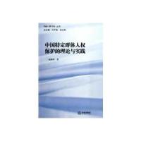 中国特定群体人权保护的理论与实践