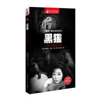 惊悚悬念袖珍馆Ⅱ:黑猫 9787510436079