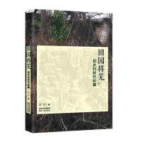田园将芜-后乡村时代纪事