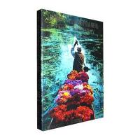 史蒂夫 麦凯瑞作品精选