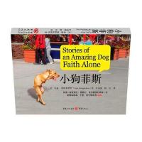 小狗菲斯(Faith(菲斯)(一条感动全世界的狗！)