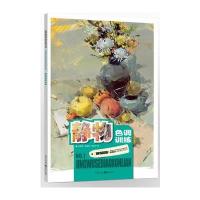 金钥匙：静物色调训练