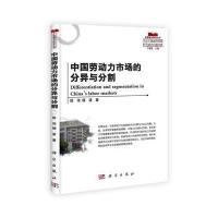 中国劳动力市场的分异与分割