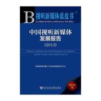 视听新媒体蓝皮书：中国视听新媒体发展报告(2013)