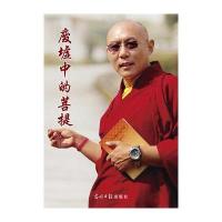 废墟中的菩提(震后自有真情在，菩提大道显仁心) 9787511250735