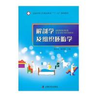 解剖学及组织胚胎学