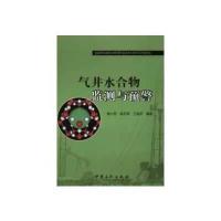 气井水合物监测与预警