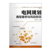 电网规划典型案例与风险防范