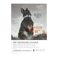 无家可归的“雪鞋”兔