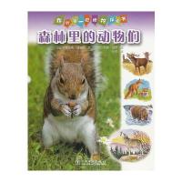 我的套动物探索书 森林里的动物们
